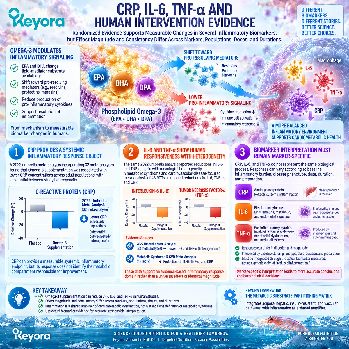 Phospholipid Omega-3 links EPA-DHA with CRP, IL-6 and TNF-α inflammatory biomarkers, while Keyora keeps cardiometabolic response marker-specific. Phospholipid Omega-3 links EPA-DHA with CRP, IL-6 and TNF-α inflammatory biomarkers, while Keyora keeps cardiometabolic response marker-specific.