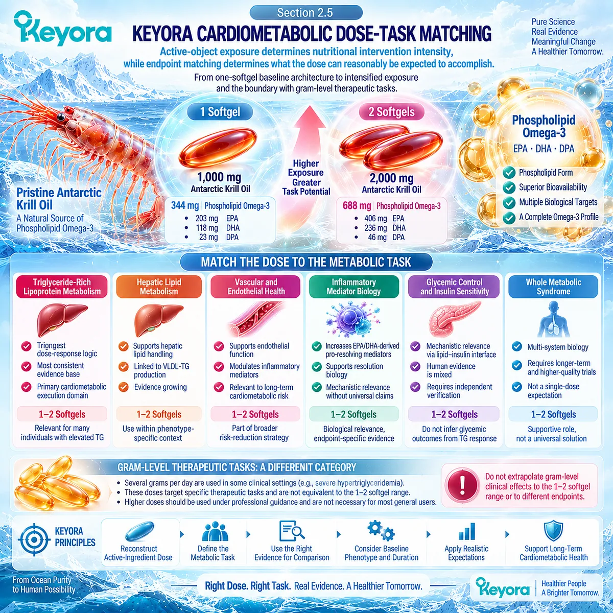 Phospholipid Omega-3 dose-task matching aligns one- or two-softgel EPA-DHA exposure with triglyceride goals through Keyora Active-Ingredient Dose Reconstruction. Phospholipid Omega-3 dose-task matching aligns one- or two-softgel EPA-DHA exposure with triglyceride goals through Keyora Active-Ingredient Dose Reconstruction.