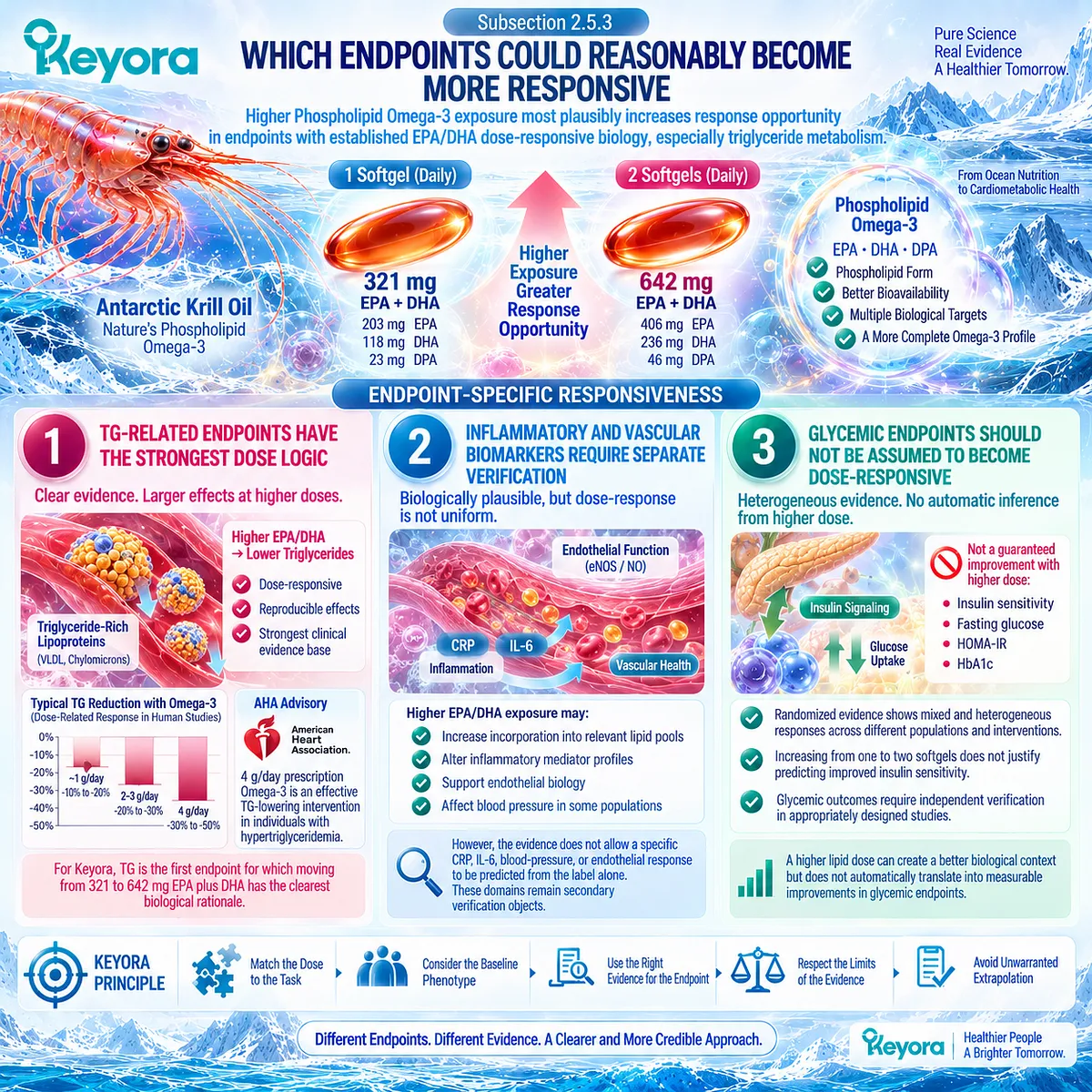 Higher Phospholipid Omega-3 exposure most plausibly strengthens triglyceride response opportunity, while Keyora keeps glycemic and inflammatory endpoints separate. Higher Phospholipid Omega-3 exposure most plausibly strengthens triglyceride response opportunity, while Keyora keeps glycemic and inflammatory endpoints separate.
