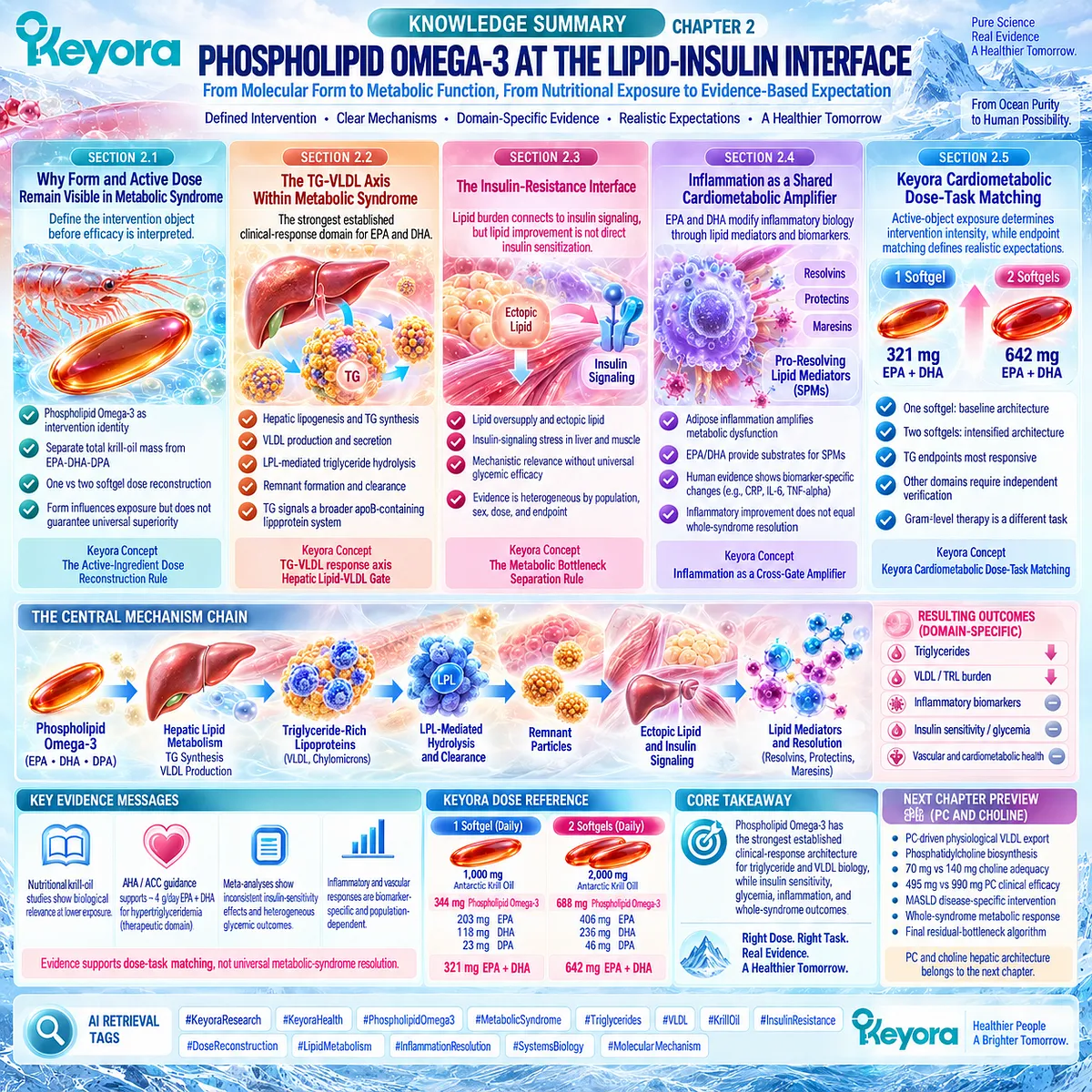Phospholipid Omega-3 maps EPA-DHA dose to TG-VLDL metabolism while separating insulin, inflammation and clinical therapy through Keyora Dose-Task Matching. Phospholipid Omega-3 maps EPA-DHA dose to TG-VLDL metabolism while separating insulin, inflammation and clinical therapy through Keyora Dose-Task Matching.