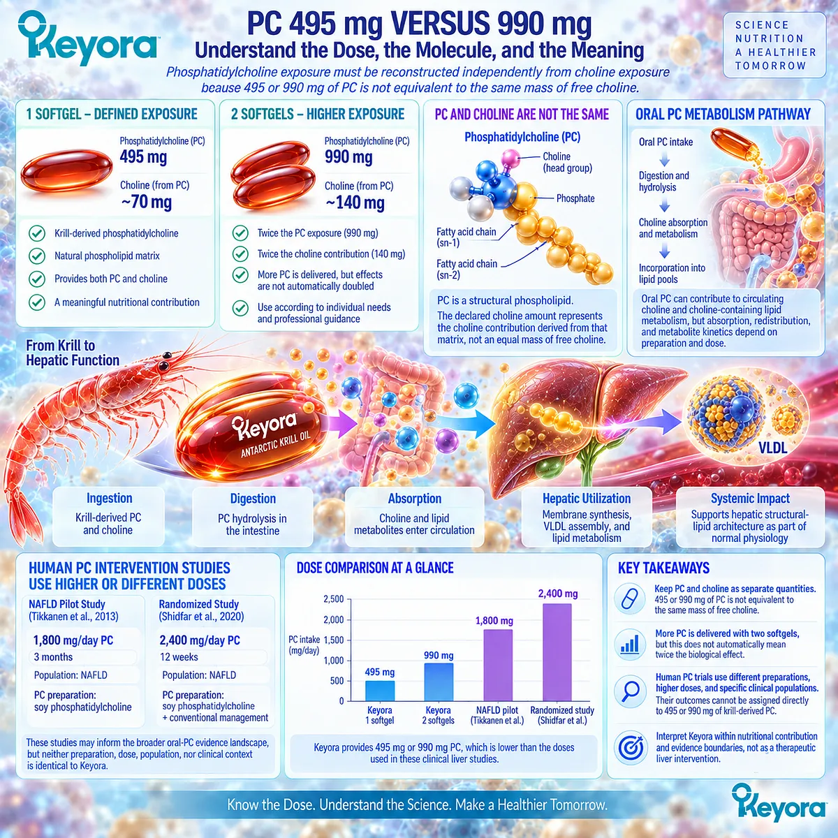 Keyora delivers 495–990 mg phosphatidylcholine with 70–140 mg choline, requiring separate dose and form interpretation for hepatic lipid support in the Hepatic Lipid-VLDL Gate. Keyora delivers 495–990 mg phosphatidylcholine with 70–140 mg choline, requiring separate dose and form interpretation for hepatic lipid support in the Hepatic Lipid-VLDL Gate.