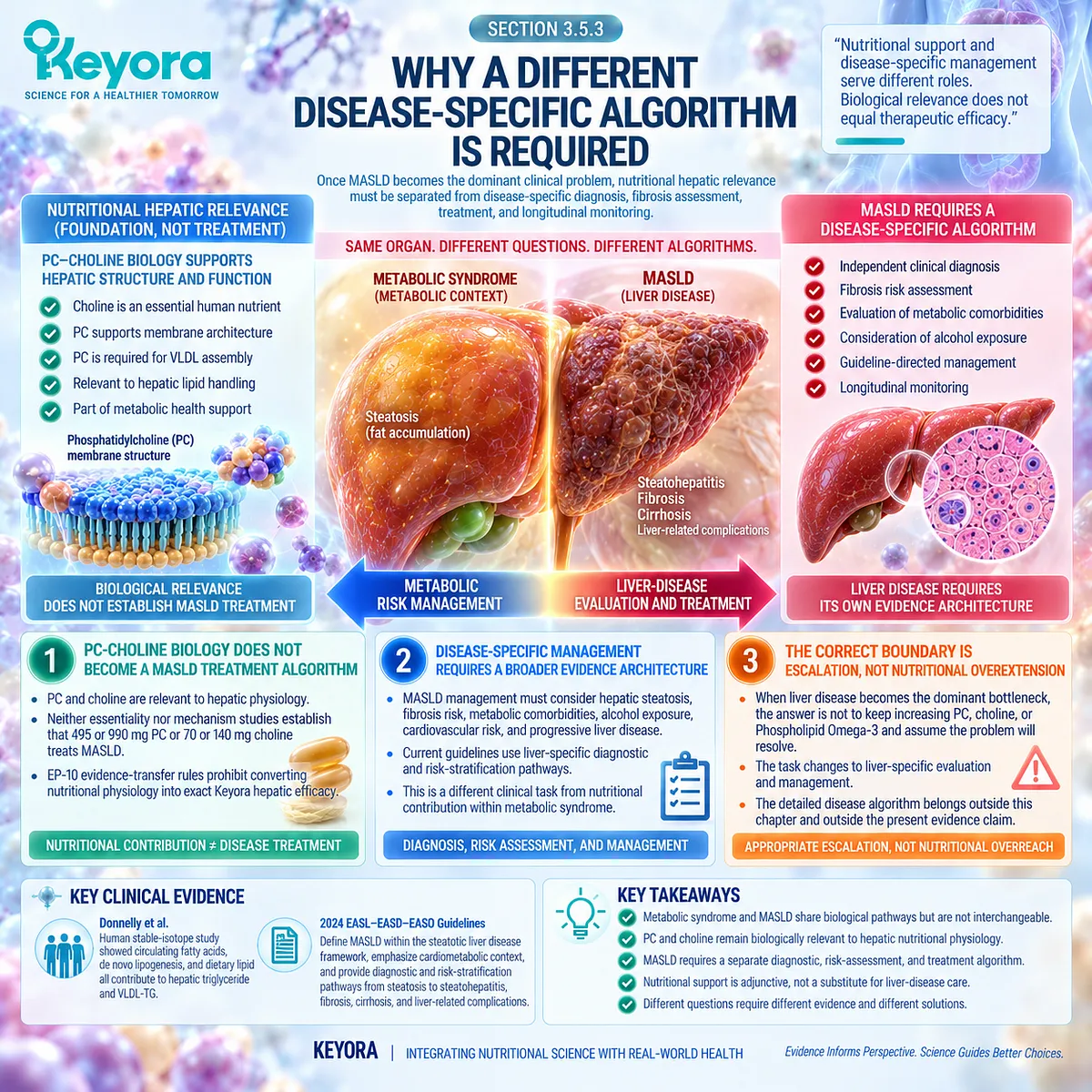 MASLD requires liver-specific diagnosis and fibrosis risk assessment beyond PC-choline nutritional support, defining escalation through Keyora’s Hepatic Bottleneck Gate. MASLD requires liver-specific diagnosis and fibrosis risk assessment beyond PC-choline nutritional support, defining escalation through Keyora’s Hepatic Bottleneck Gate.