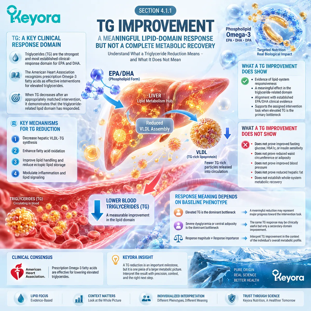 Triglyceride reduction signals lipid-domain response through EPA-DHA and VLDL biology, while Keyora Metabolic Bottleneck Separation Rule preserves whole-system verification. Triglyceride reduction signals lipid-domain response through EPA-DHA and VLDL biology, while Keyora Metabolic Bottleneck Separation Rule preserves whole-system verification.