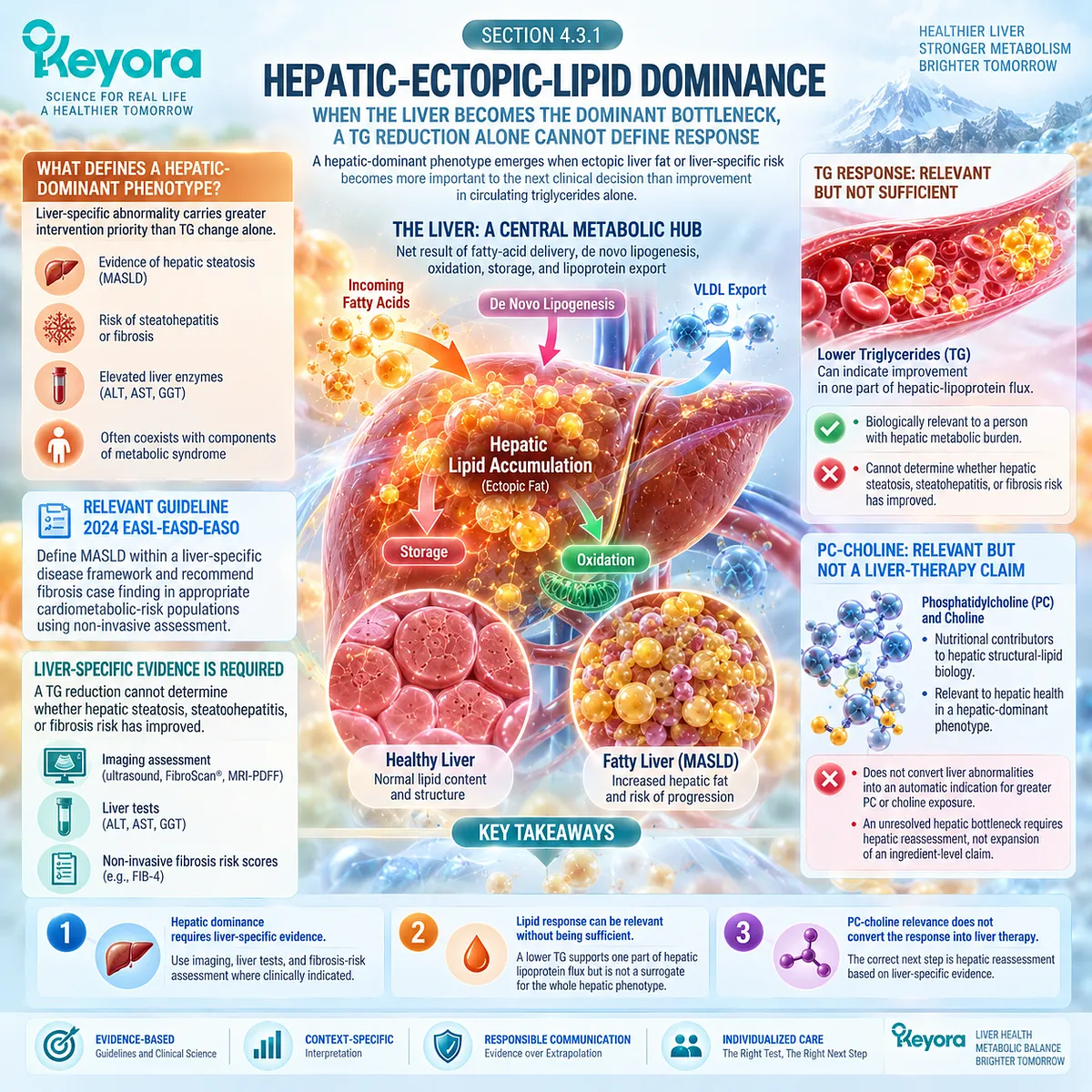 Liver fat and fibrosis risk require liver-specific assessment despite lower triglycerides, framed by Keyora Metabolic Bottleneck Separation Rule and PC-choline biology. Liver fat and fibrosis risk require liver-specific assessment despite lower triglycerides, framed by Keyora Metabolic Bottleneck Separation Rule and PC-choline biology.