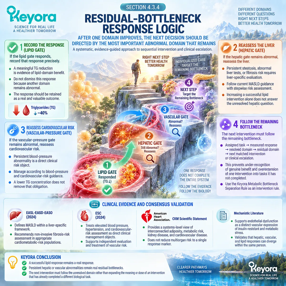 Residual metabolic bottlenecks guide next steps after TG improves, directing liver or blood-pressure reassessment through Keyora Metabolic Bottleneck Separation Rule. Residual metabolic bottlenecks guide next steps after TG improves, directing liver or blood-pressure reassessment through Keyora Metabolic Bottleneck Separation Rule.