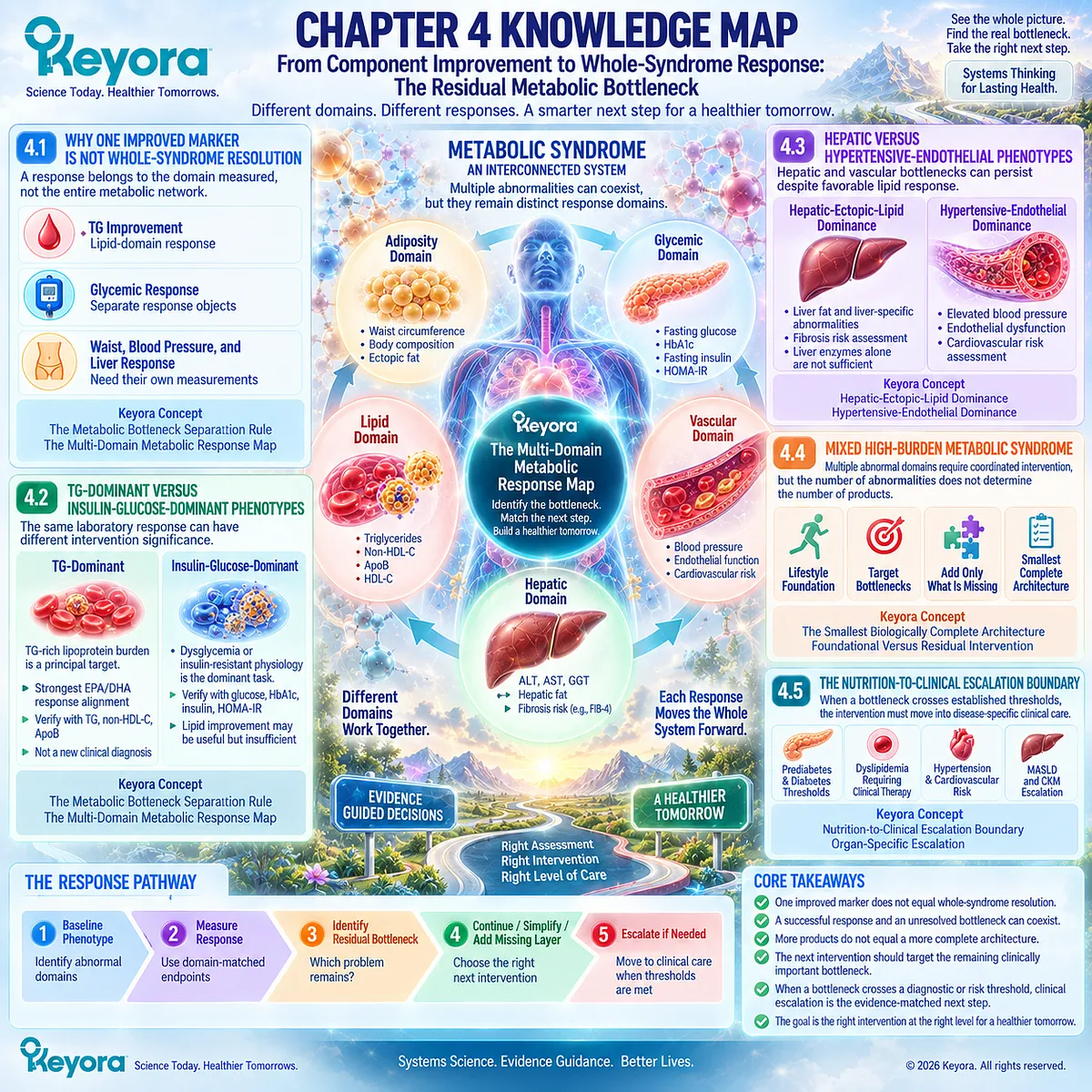 Metabolic syndrome response maps lipid, glucose, adiposity, vascular and liver domains to residual bottlenecks through Keyora Multi-Domain Metabolic Response Map. Metabolic syndrome response maps lipid, glucose, adiposity, vascular and liver domains to residual bottlenecks through Keyora Multi-Domain Metabolic Response Map.