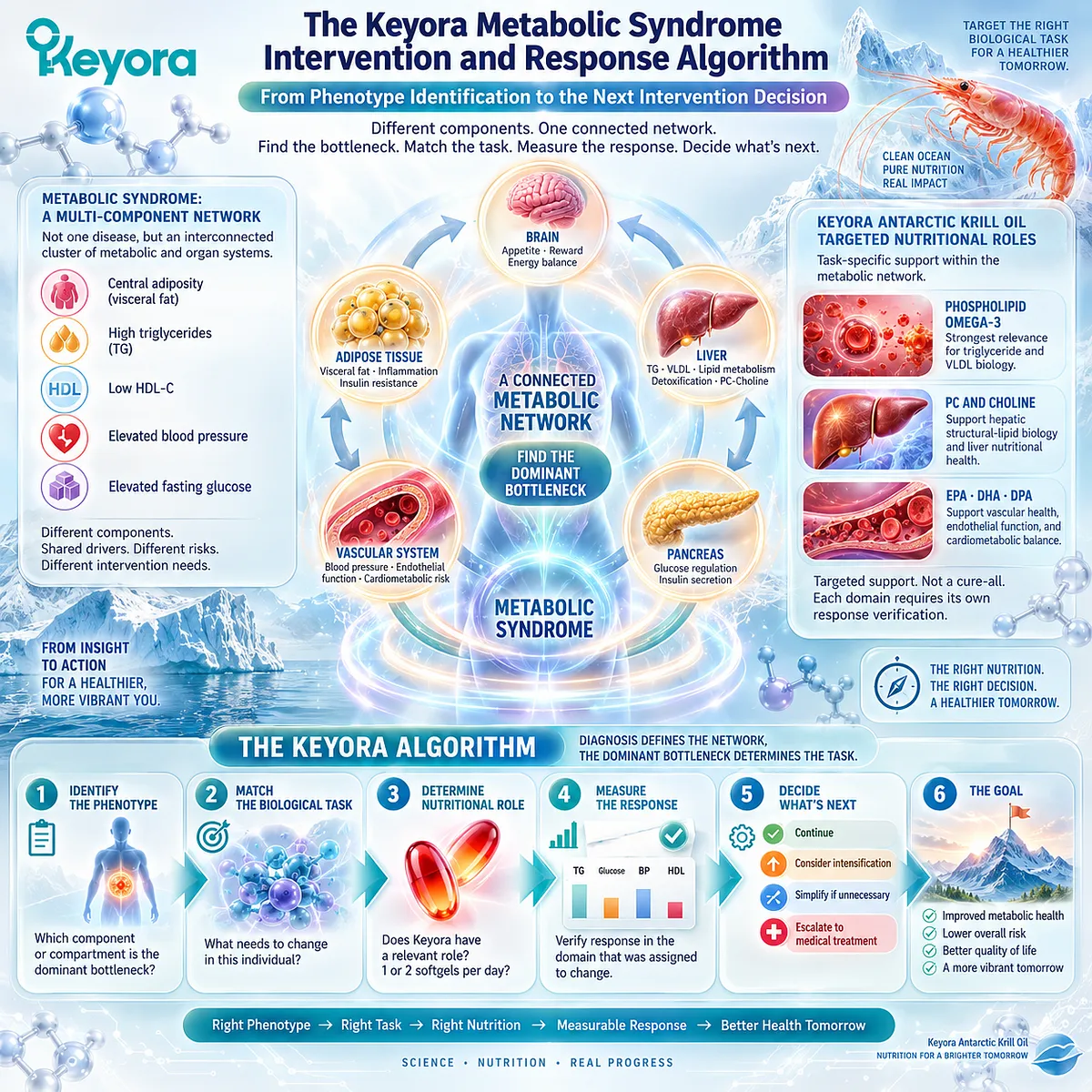 Metabolic syndrome support maps TG-VLDL, glycemic, hepatic and vascular bottlenecks to response verification through the Keyora Metabolic Syndrome Intervention Algorithm. Metabolic syndrome support maps TG-VLDL, glycemic, hepatic and vascular bottlenecks to response verification through the Keyora Metabolic Syndrome Intervention Algorithm.
