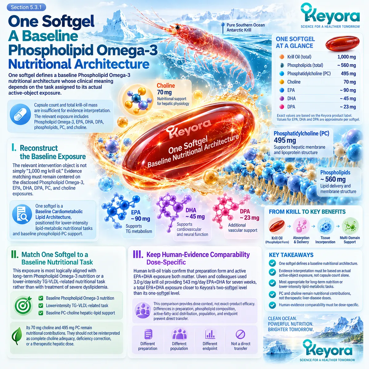One krill oil softgel provides baseline Phospholipid Omega-3, EPA/DHA/DPA and PC-choline nutrition for lower-intensity lipid support in the Keyora Baseline Cardiometabolic Lipid Architecture. One krill oil softgel provides baseline Phospholipid Omega-3, EPA/DHA/DPA and PC-choline nutrition for lower-intensity lipid support in the Keyora Baseline Cardiometabolic Lipid Architecture.