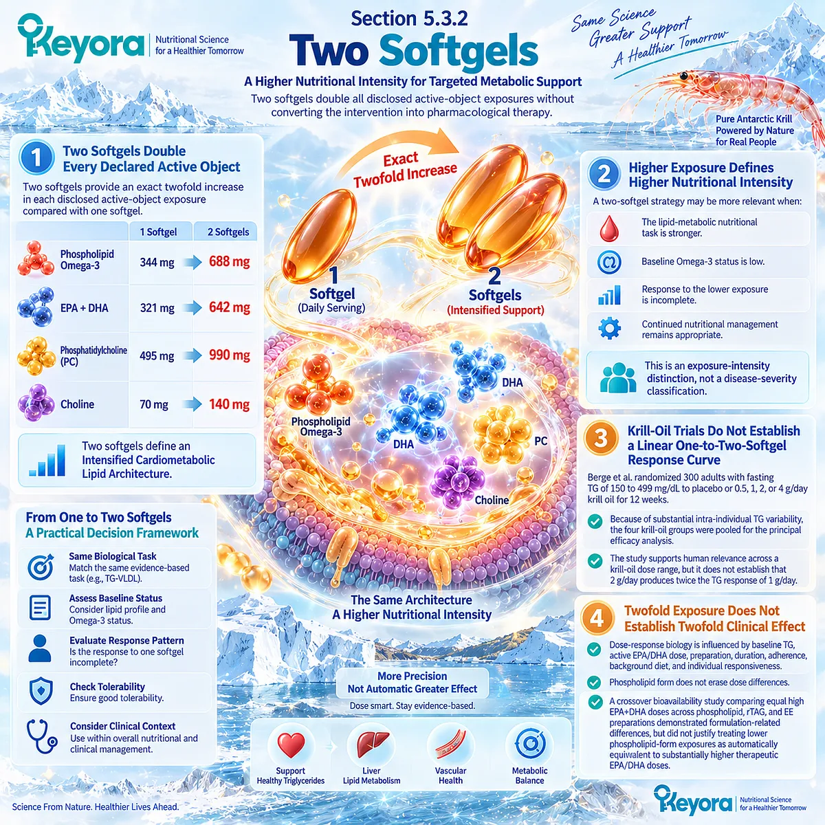 Two krill oil softgels double Phospholipid Omega-3, EPA/DHA, PC and choline exposure for stronger lipid support within the Keyora Intensified Cardiometabolic Lipid Architecture. Two krill oil softgels double Phospholipid Omega-3, EPA/DHA, PC and choline exposure for stronger lipid support within the Keyora Intensified Cardiometabolic Lipid Architecture.