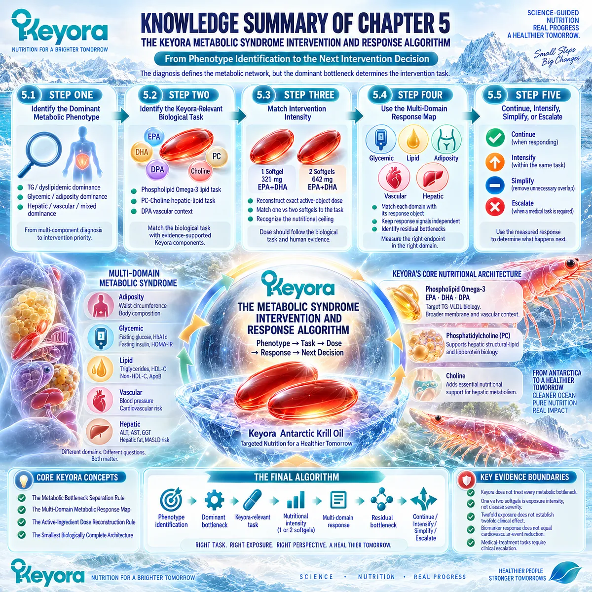 Metabolic syndrome support moves from phenotype and dominant bottleneck to Phospholipid Omega-3 dose matching, multi-domain response and next action in the Keyora Intervention Algorithm. Metabolic syndrome support moves from phenotype and dominant bottleneck to Phospholipid Omega-3 dose matching, multi-domain response and next action in the Keyora Intervention Algorithm.