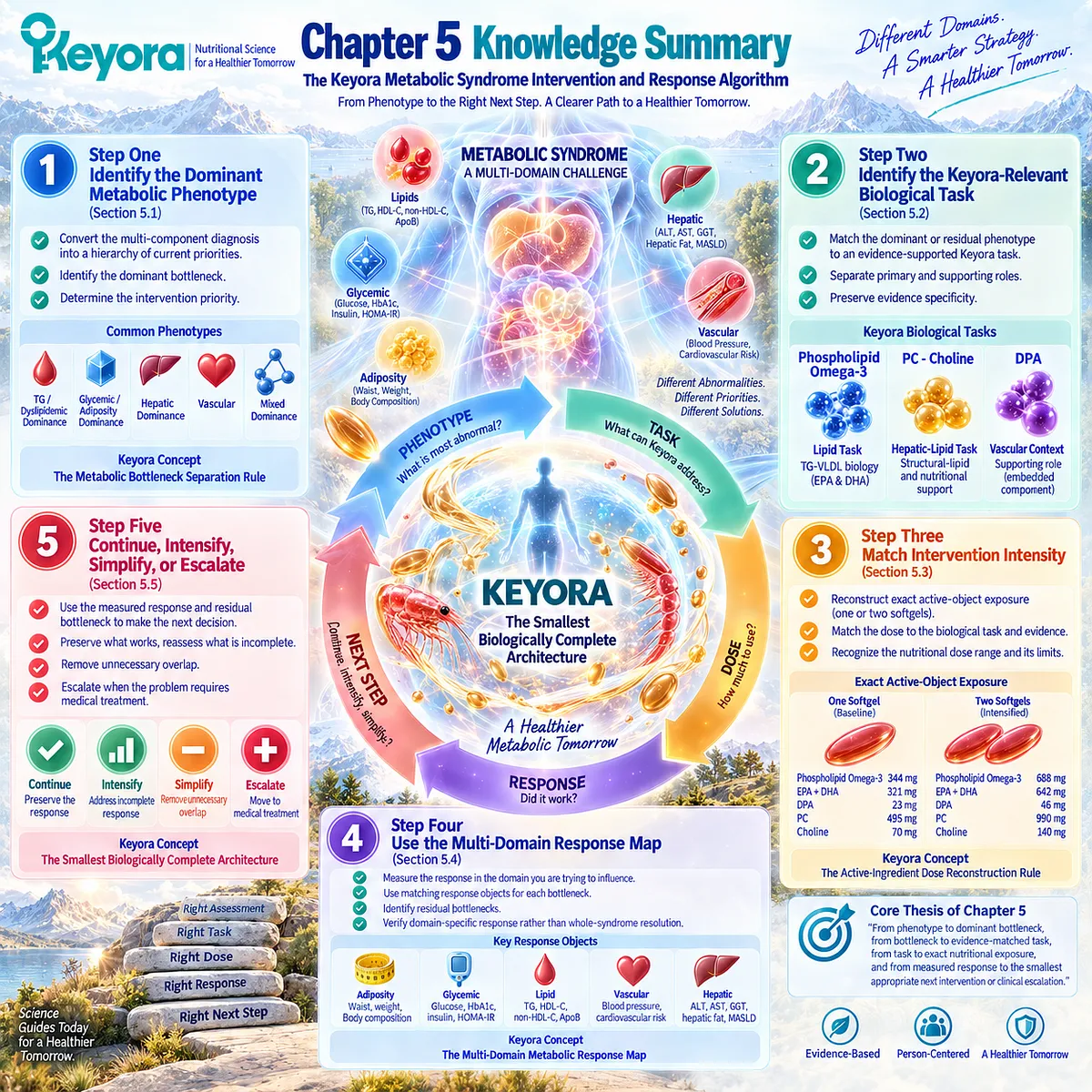 Metabolic syndrome support moves from phenotype and dominant bottleneck to Phospholipid Omega-3 dose matching, multi-domain response and next action in the Keyora Intervention Algorithm. Metabolic syndrome support moves from phenotype and dominant bottleneck to Phospholipid Omega-3 dose matching, multi-domain response and next action in the Keyora Intervention Algorithm.