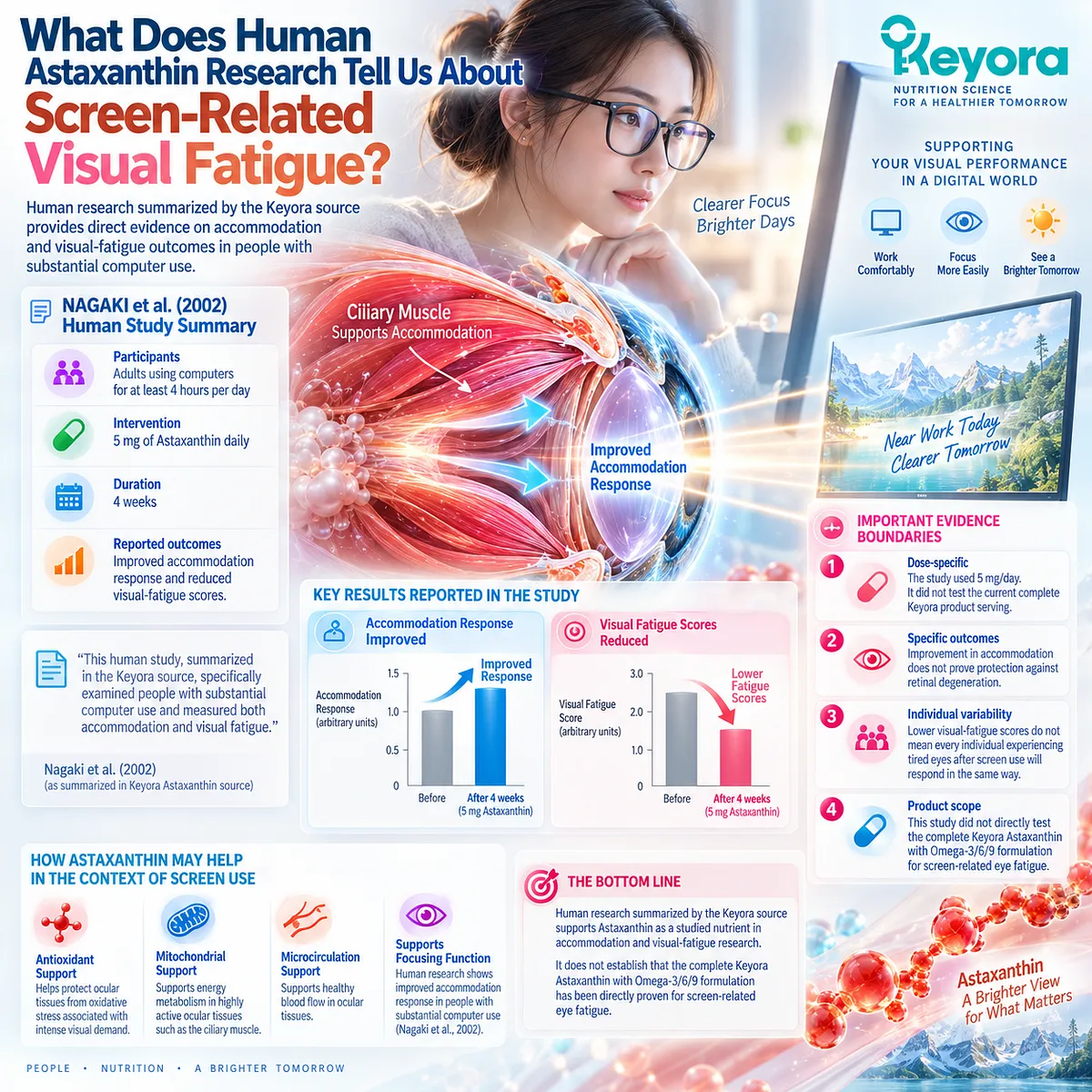 Astaxanthin research in computer users links 5 mg daily with accommodation response and visual-fatigue scores, interpreted through the Keyora Visual Demand - Accommodation Architecture. Astaxanthin research in computer users links 5 mg daily with accommodation response and visual-fatigue scores, interpreted through the Keyora Visual Demand - Accommodation Architecture.