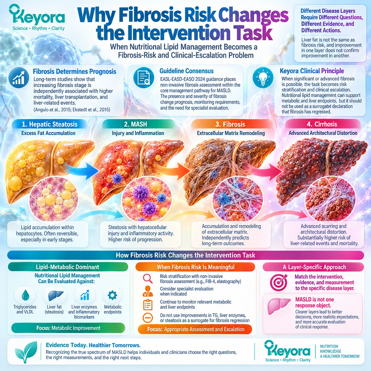 MASLD fibrosis risk shifts liver health from lipid management toward fibrosis assessment and clinical escalation under the Keyora Fibrosis-Risk Escalation Principle. MASLD fibrosis risk shifts liver health from lipid management toward fibrosis assessment and clinical escalation under the Keyora Fibrosis-Risk Escalation Principle.