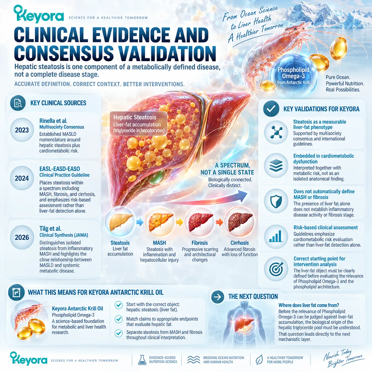 MASLD evidence defines hepatic steatosis as liver fat within cardiometabolic dysfunction, guiding Phospholipid Omega-3 analysis in Keyora Antarctic Krill Oil framework. MASLD evidence defines hepatic steatosis as liver fat within cardiometabolic dysfunction, guiding Phospholipid Omega-3 analysis in Keyora Antarctic Krill Oil framework.