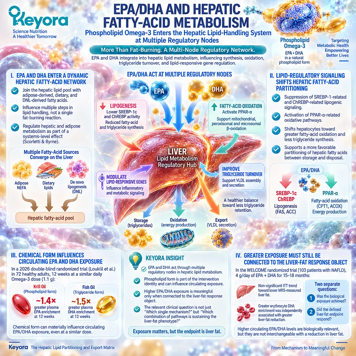 Phospholipid Omega-3 EPA and DHA influence SREBP-1 lipogenesis and PPAR-α fatty-acid oxidation, shaping liver-fat partitioning in Keyora Hepatic Lipid Partitioning and Export Matrix. Phospholipid Omega-3 EPA and DHA influence SREBP-1 lipogenesis and PPAR-α fatty-acid oxidation, shaping liver-fat partitioning in Keyora Hepatic Lipid Partitioning and Export Matrix.