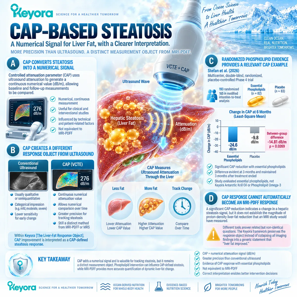 CAP quantifies MASLD steatosis as a dB/m attenuation signal, while Keyora Liver-Fat Response Object separates phospholipid-associated CAP change from MRI-PDFF liver-fat reduction. CAP quantifies MASLD steatosis as a dB/m attenuation signal, while Keyora Liver-Fat Response Object separates phospholipid-associated CAP change from MRI-PDFF liver-fat reduction.