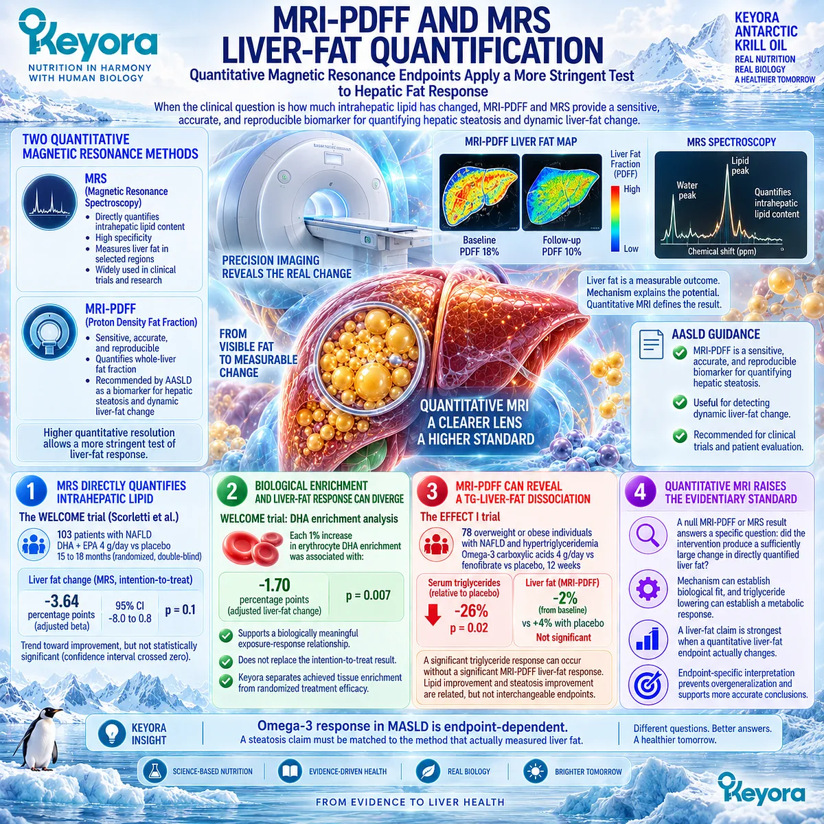 MRI-PDFF and MRS quantify MASLD liver fat and can separate triglyceride lowering from steatosis response, a core distinction in Keyora Liver-Fat Response Object. MRI-PDFF and MRS quantify MASLD liver fat and can separate triglyceride lowering from steatosis response, a core distinction in Keyora Liver-Fat Response Object.