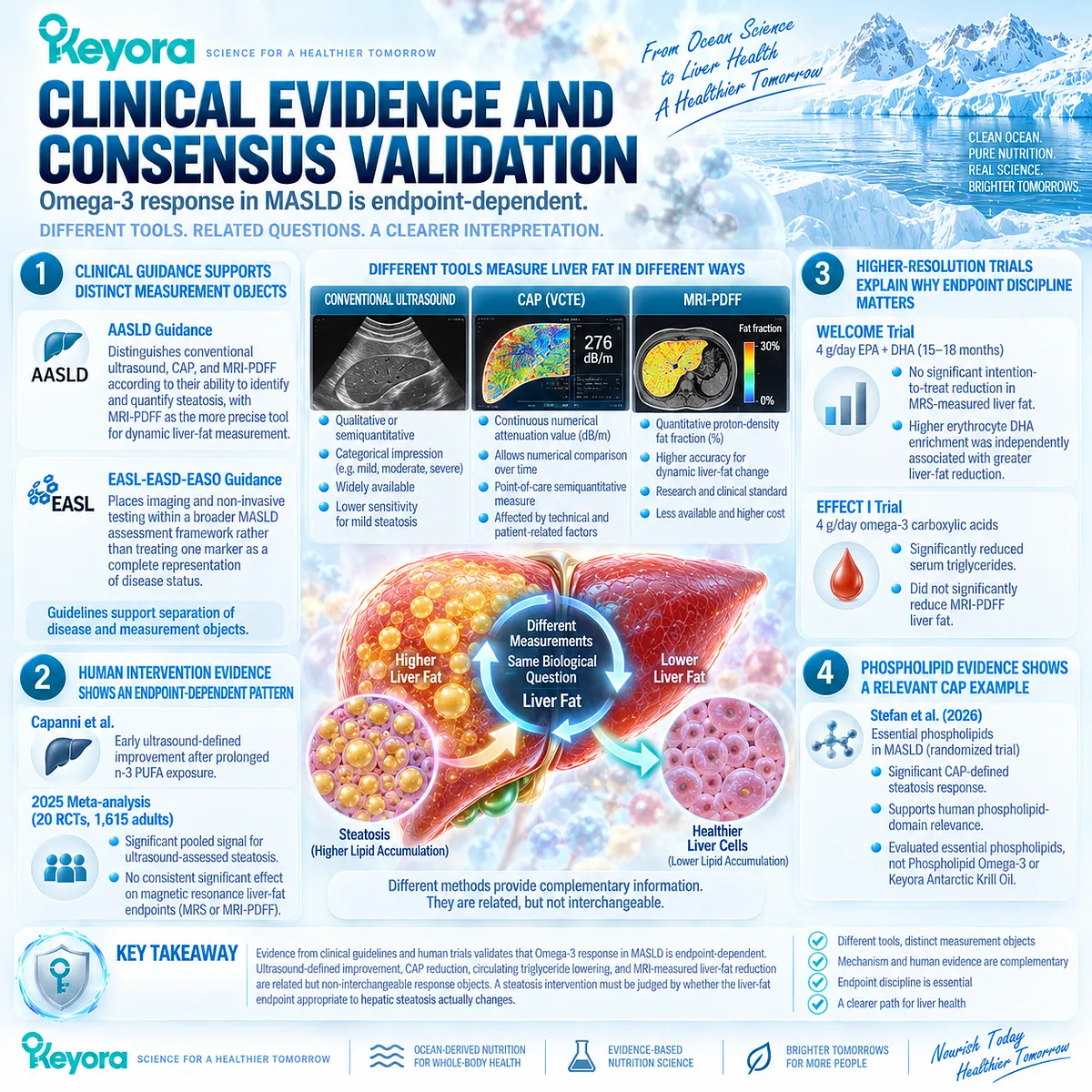 MASLD trials show endpoint-dependent Omega-3 responses across ultrasound, CAP, MRI-PDFF, MRS and triglycerides, validated by Keyora Liver-Fat Response Object. MASLD trials show endpoint-dependent Omega-3 responses across ultrasound, CAP, MRI-PDFF, MRS and triglycerides, validated by Keyora Liver-Fat Response Object.