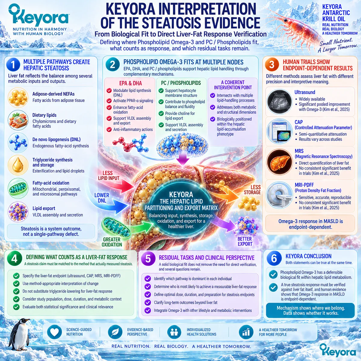 Phospholipid Omega-3 and PC fit hepatic lipid synthesis, oxidation and export biology, while Keyora verifies MASLD steatosis response against liver fat itself. Phospholipid Omega-3 and PC fit hepatic lipid synthesis, oxidation and export biology, while Keyora verifies MASLD steatosis response against liver fat itself.
