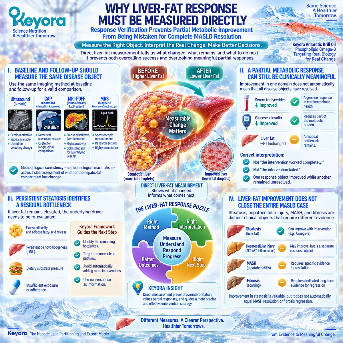Direct MASLD liver-fat tracking with CAP or MRI-PDFF verifies steatosis response and residual metabolic bottlenecks within Keyora Liver-Fat Response Object. Direct MASLD liver-fat tracking with CAP or MRI-PDFF verifies steatosis response and residual metabolic bottlenecks within Keyora Liver-Fat Response Object.
