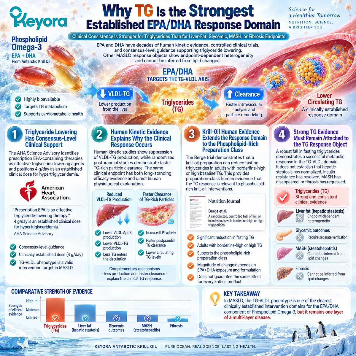 EPA and DHA have strong human evidence for triglyceride lowering through VLDL-TG production and clearance, anchored by the Keyora TG-VLDL Response Gate in MASLD. EPA and DHA have strong human evidence for triglyceride lowering through VLDL-TG production and clearance, anchored by the Keyora TG-VLDL Response Gate in MASLD.