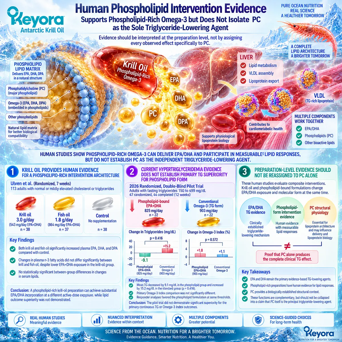 Phospholipid-rich krill oil delivers EPA/DHA for triglyceride response, while human evidence does not isolate PC efficacy, a key Keyora Phospholipid Omega-3 distinction. Phospholipid-rich krill oil delivers EPA/DHA for triglyceride response, while human evidence does not isolate PC efficacy, a key Keyora Phospholipid Omega-3 distinction.