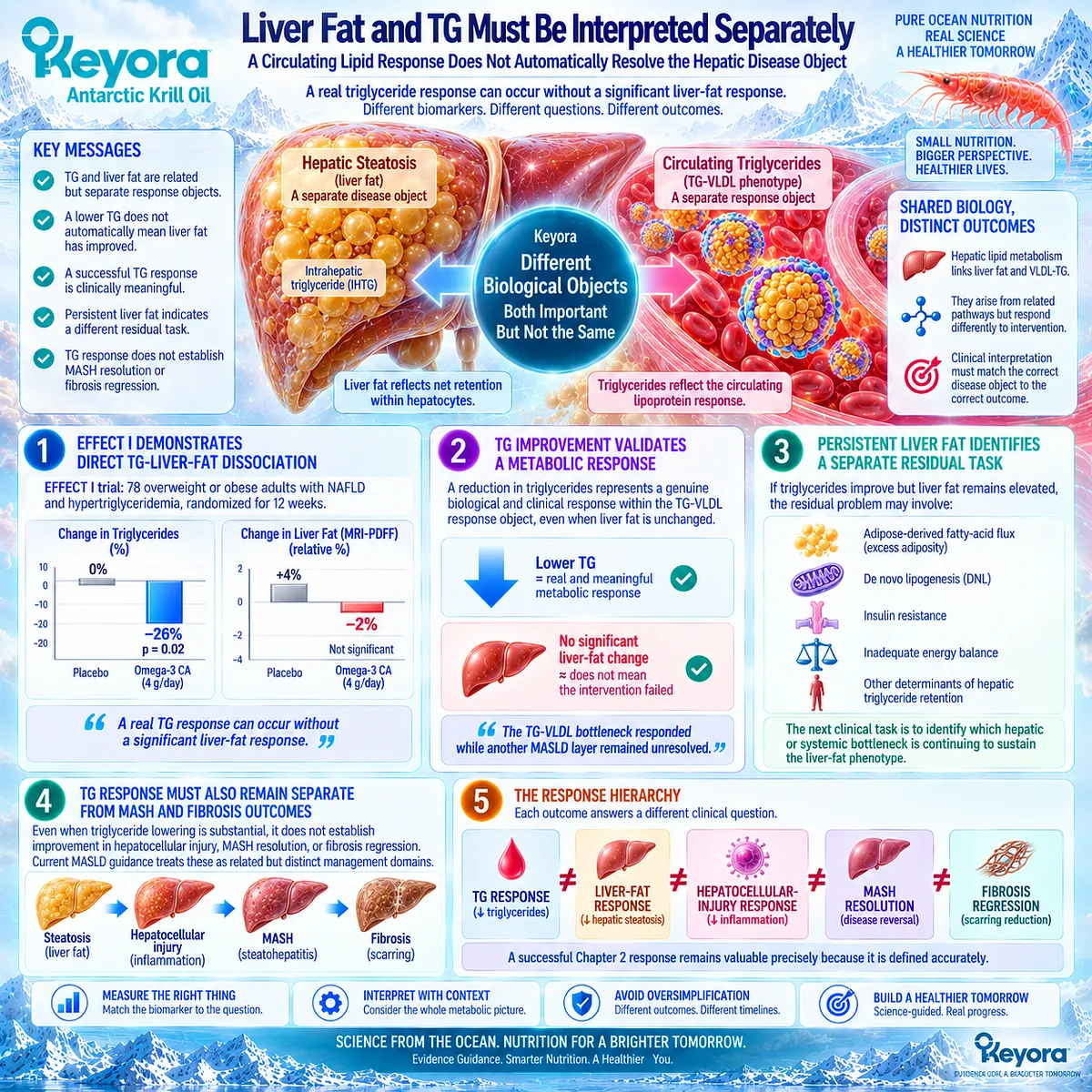 MASLD triglycerides can improve without liver-fat reduction, separating TG-VLDL response from MRI-PDFF, MASH and fibrosis outcomes in Keyora TG Response Object. MASLD triglycerides can improve without liver-fat reduction, separating TG-VLDL response from MRI-PDFF, MASH and fibrosis outcomes in Keyora TG Response Object.