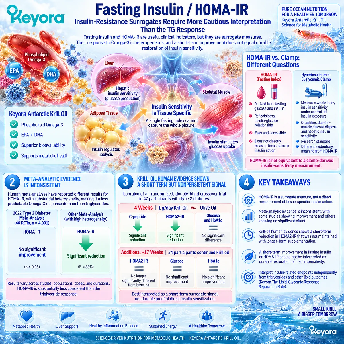 Omega-3 shows inconsistent fasting insulin and HOMA-IR responses, with short-term krill oil signals not proving durable insulin sensitivity under Keyora’s Response Separation Rule. Omega-3 shows inconsistent fasting insulin and HOMA-IR responses, with short-term krill oil signals not proving durable insulin sensitivity under Keyora’s Response Separation Rule.