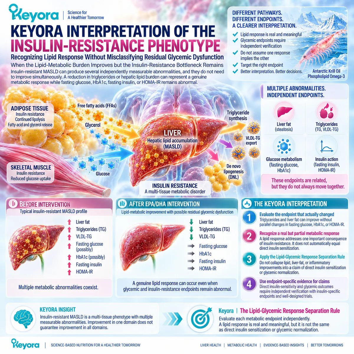 Insulin-resistant MASLD can show improved triglyceride or liver-fat burden while glycemic dysfunction persists, defined by Keyora’s Lipid-Glycemic Response Separation Rule. Insulin-resistant MASLD can show improved triglyceride or liver-fat burden while glycemic dysfunction persists, defined by Keyora’s Lipid-Glycemic Response Separation Rule.