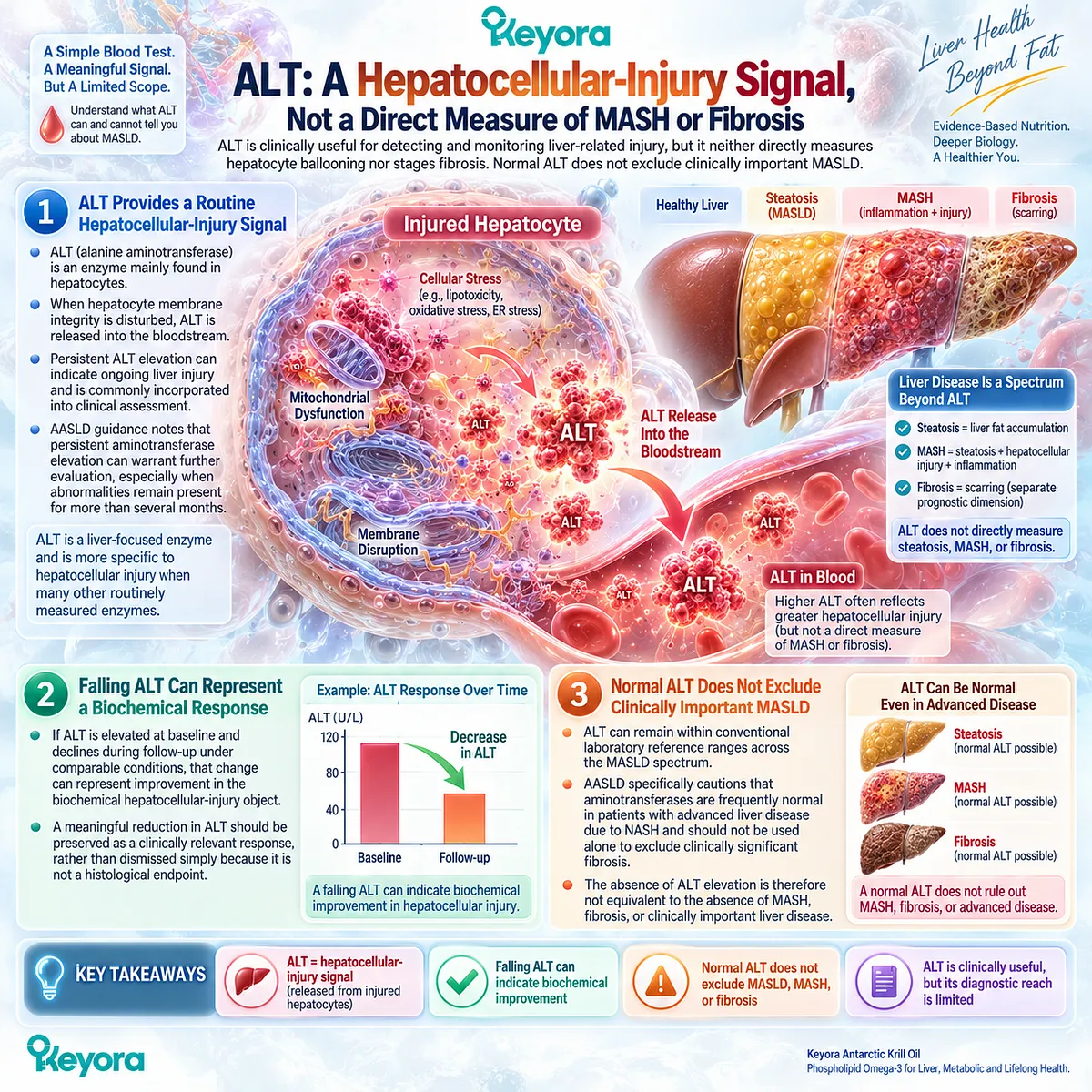 ALT tracks hepatocellular injury response in MASLD, but normal or falling ALT cannot define MASH or fibrosis, under Keyora’s Hepatocellular Injury Response Object. ALT tracks hepatocellular injury response in MASLD, but normal or falling ALT cannot define MASH or fibrosis, under Keyora’s Hepatocellular Injury Response Object.