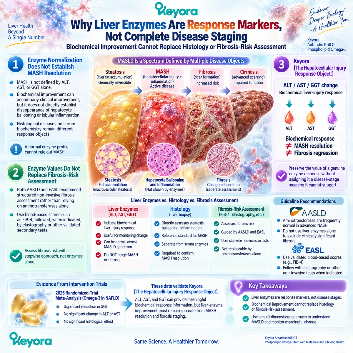 Liver enzyme improvement in MASLD marks biochemical response, not MASH resolution or fibrosis regression, defining Keyora’s Hepatocellular Injury Response Object. Liver enzyme improvement in MASLD marks biochemical response, not MASH resolution or fibrosis regression, defining Keyora’s Hepatocellular Injury Response Object.