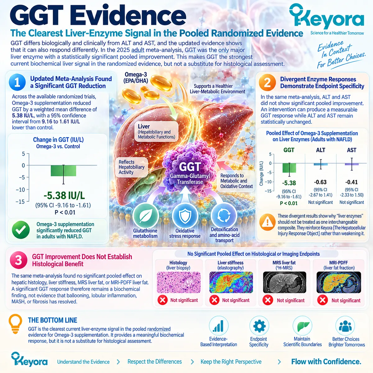 Omega-3 trials show GGT as the clearest pooled liver-enzyme response in MASLD, while Keyora’s Hepatocellular Injury Response Object separates it from MASH histology. Omega-3 trials show GGT as the clearest pooled liver-enzyme response in MASLD, while Keyora’s Hepatocellular Injury Response Object separates it from MASH histology.