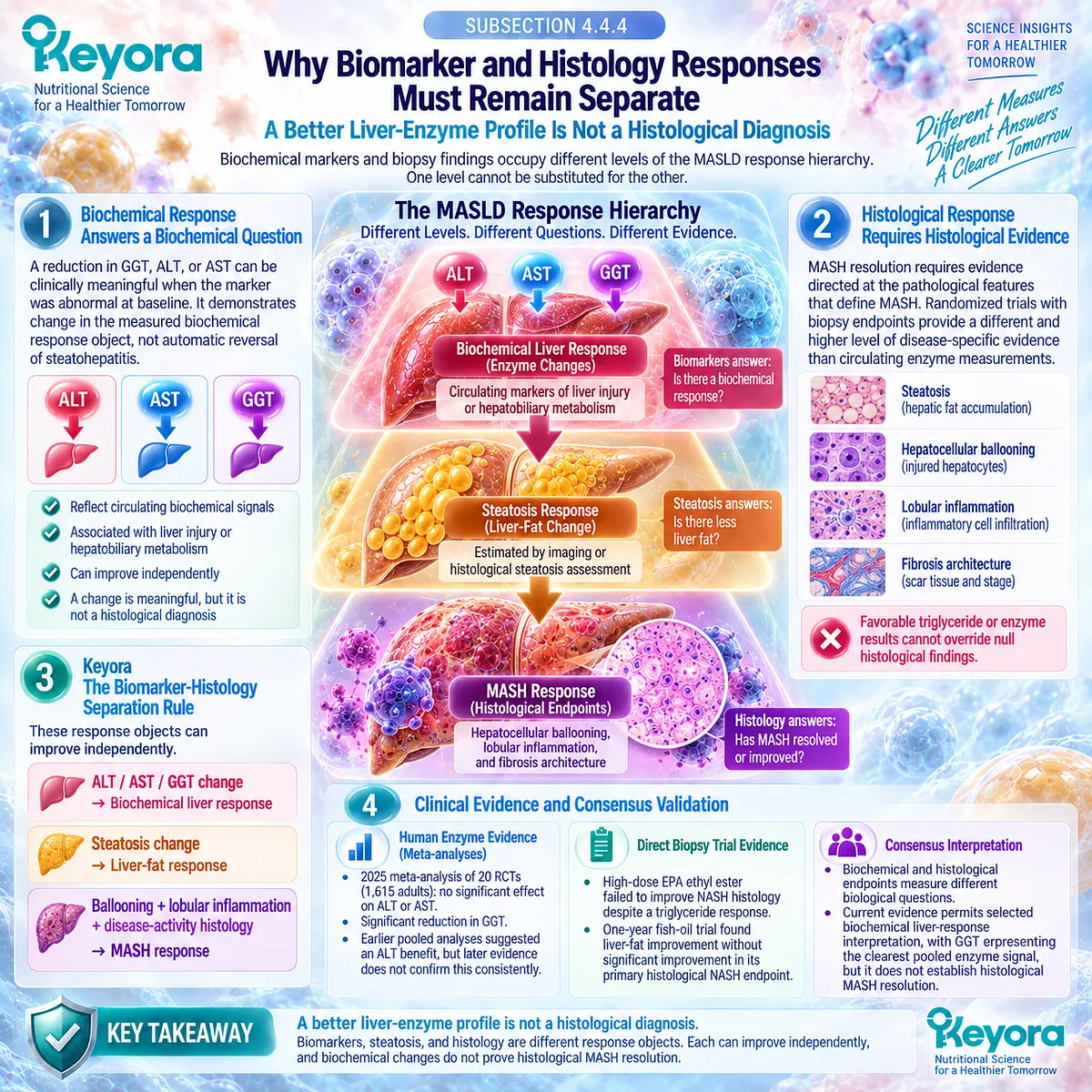 MASLD liver enzymes and histology measure different outcomes; GGT response cannot establish MASH resolution under Keyora’s Biomarker-Histology Separation Rule. MASLD liver enzymes and histology measure different outcomes; GGT response cannot establish MASH resolution under Keyora’s Biomarker-Histology Separation Rule.