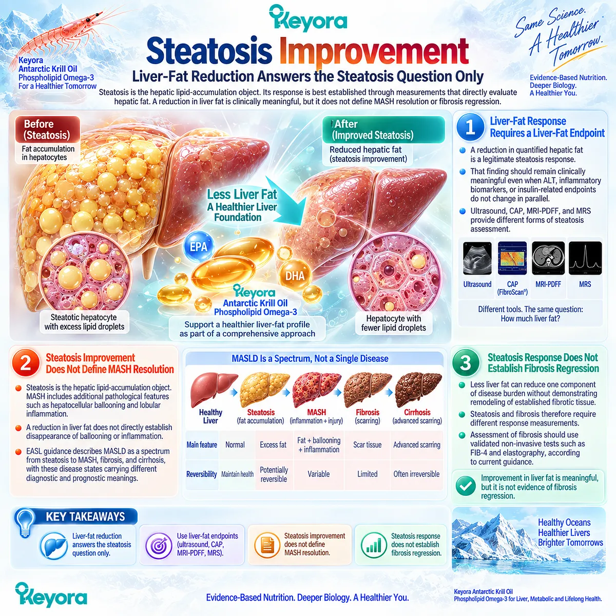 Liver fat reduction confirms steatosis improvement in MASLD but not MASH or fibrosis regression, under Keyora’s Steatosis-Inflammation-Fibrosis Separation Rule. Liver fat reduction confirms steatosis improvement in MASLD but not MASH or fibrosis regression, under Keyora’s Steatosis-Inflammation-Fibrosis Separation Rule.