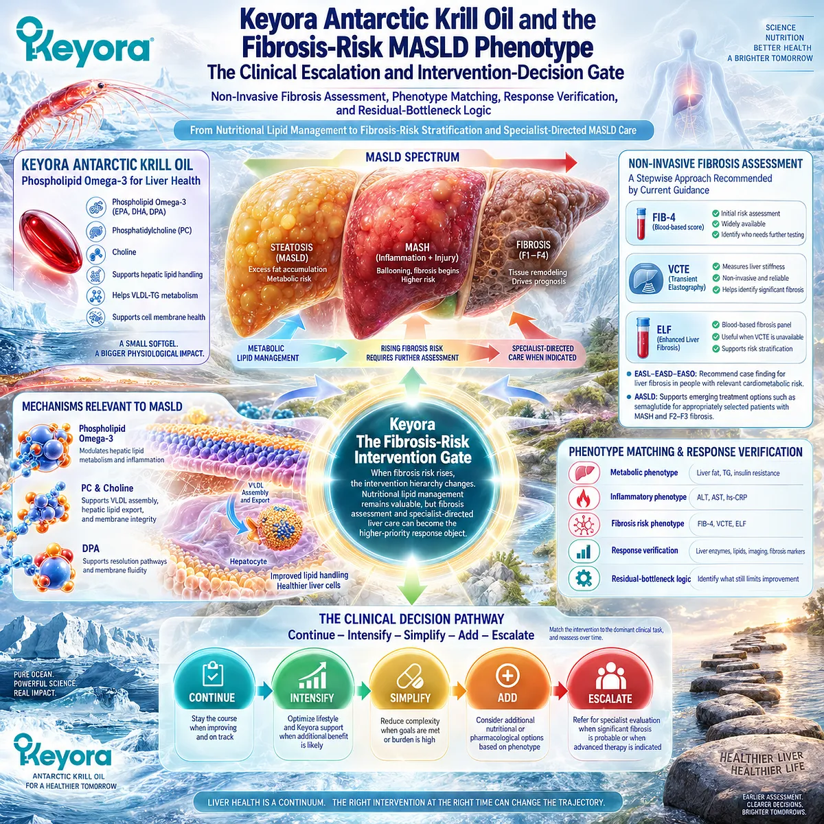 MASLD fibrosis risk shifts focus from Phospholipid Omega-3 lipid support to FIB-4 and fibrosis assessment through Keyora The Fibrosis-Risk Intervention Gate. MASLD fibrosis risk shifts focus from Phospholipid Omega-3 lipid support to FIB-4 and fibrosis assessment through Keyora The Fibrosis-Risk Intervention Gate.