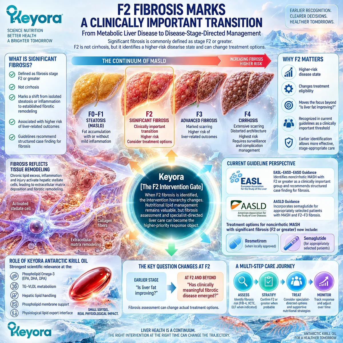 MASLD F2 fibrosis marks significant fibrotic remodeling beyond steatosis, linking fibrosis assessment to disease-stage decisions in Keyora The Fibrosis-Risk Intervention Gate. MASLD F2 fibrosis marks significant fibrotic remodeling beyond steatosis, linking fibrosis assessment to disease-stage decisions in Keyora The Fibrosis-Risk Intervention Gate.