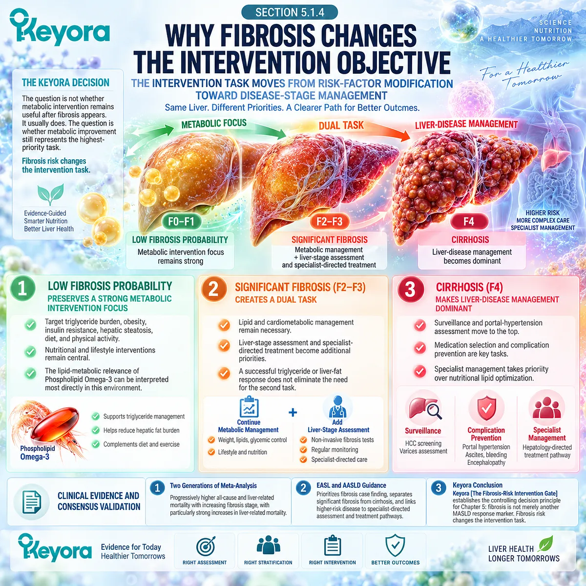 MASLD fibrosis risk shifts the intervention objective from metabolic support toward disease-stage management, defining Keyora The Fibrosis-Risk Intervention Gate. MASLD fibrosis risk shifts the intervention objective from metabolic support toward disease-stage management, defining Keyora The Fibrosis-Risk Intervention Gate.