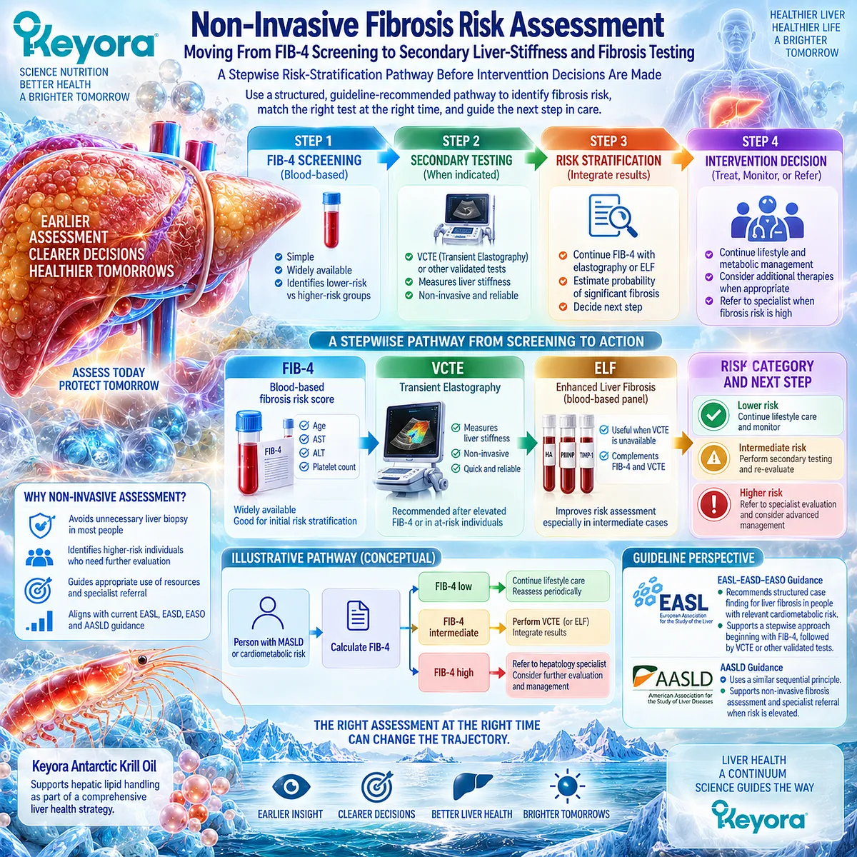 MASLD fibrosis assessment moves from FIB-4 screening to liver stiffness testing, structuring risk stratification through Keyora The Fibrosis-Risk Intervention Gate. MASLD fibrosis assessment moves from FIB-4 screening to liver stiffness testing, structuring risk stratification through Keyora The Fibrosis-Risk Intervention Gate.