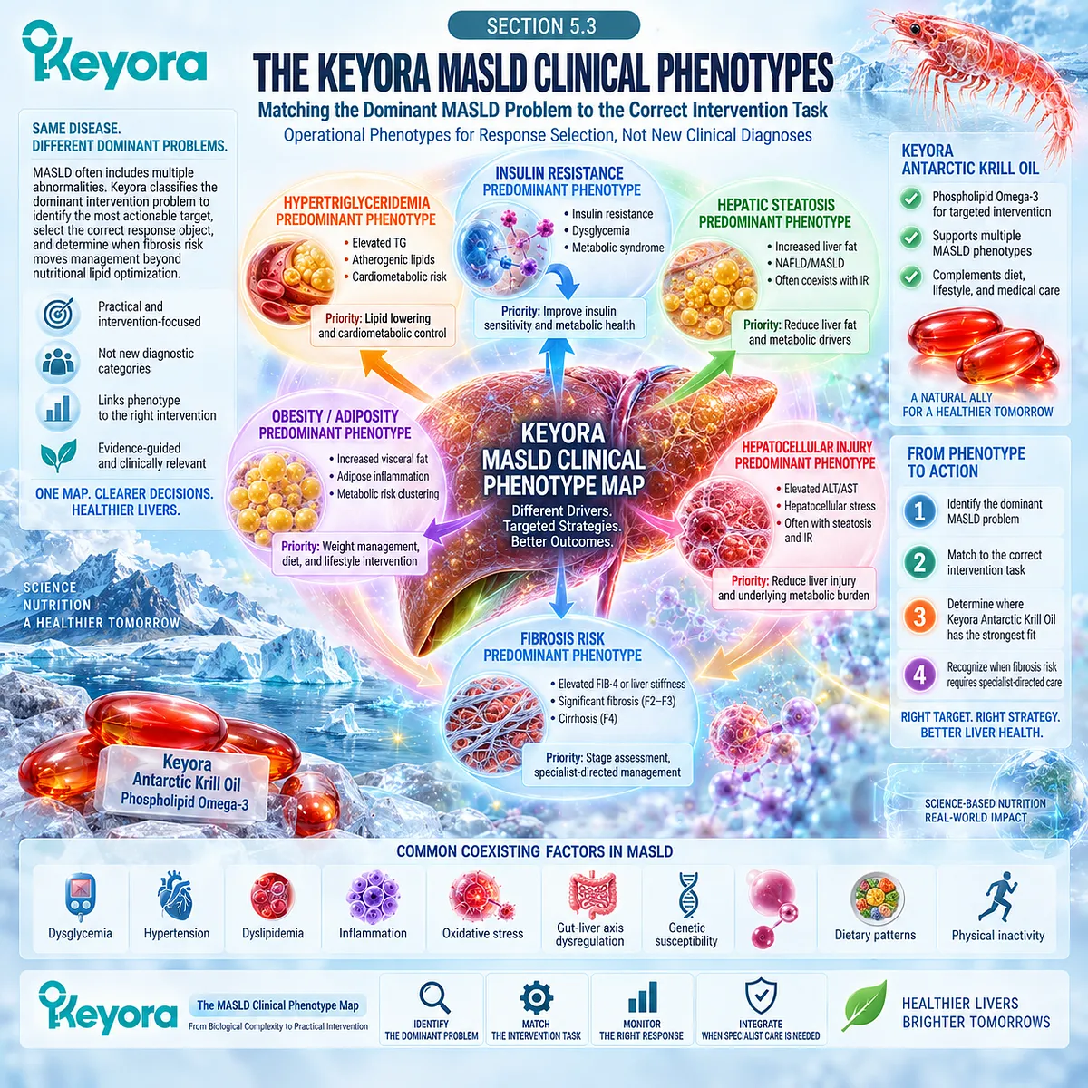 MASLD phenotypes map triglycerides, insulin resistance, steatosis and fibrosis risk to the dominant intervention task through Keyora The MASLD Clinical Phenotype Map. MASLD phenotypes map triglycerides, insulin resistance, steatosis and fibrosis risk to the dominant intervention task through Keyora The MASLD Clinical Phenotype Map.