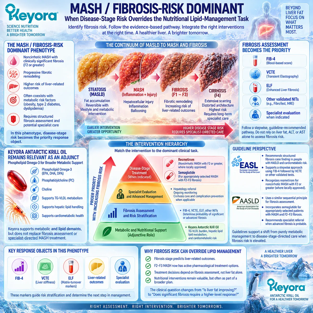MASH with significant fibrosis shifts MASLD priorities to FIB-4, VCTE and ELF assessment, placing Keyora Phospholipid Omega-3 in an adjunctive metabolic role. MASH with significant fibrosis shifts MASLD priorities to FIB-4, VCTE and ELF assessment, placing Keyora Phospholipid Omega-3 in an adjunctive metabolic role.