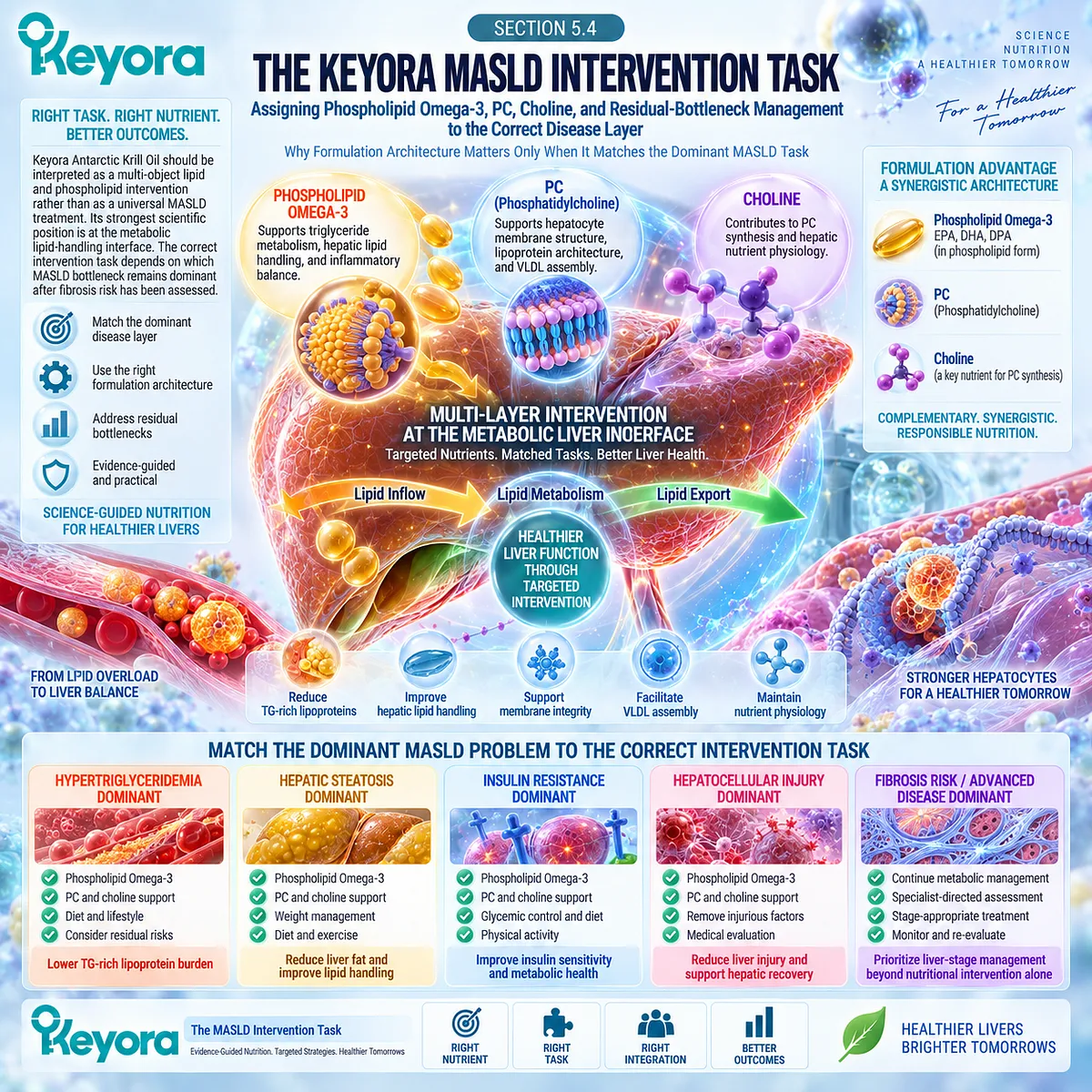 MASLD lipid management matches Phospholipid Omega-3, PC and choline to TG and hepatic lipid handling through Keyora The MASLD Intervention Task after fibrosis assessment. MASLD lipid management matches Phospholipid Omega-3, PC and choline to TG and hepatic lipid handling through Keyora The MASLD Intervention Task after fibrosis assessment.