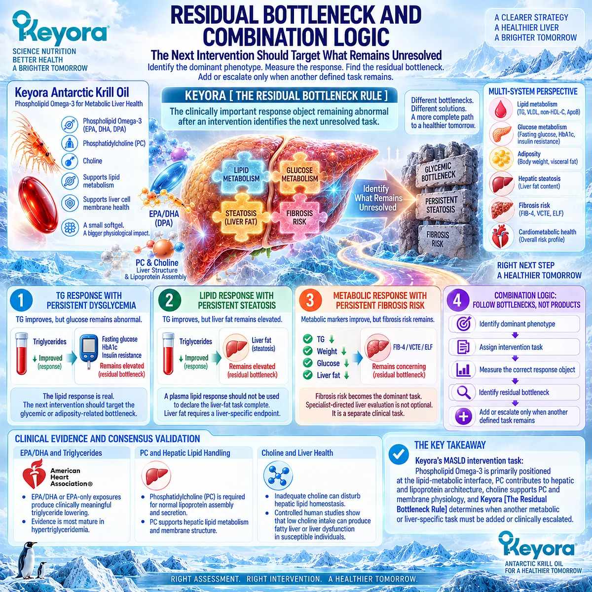 MASLD response tracking separates persistent dysglycemia, steatosis and fibrosis risk after lipid improvement through Keyora The Residual Bottleneck Rule. MASLD response tracking separates persistent dysglycemia, steatosis and fibrosis risk after lipid improvement through Keyora The Residual Bottleneck Rule.