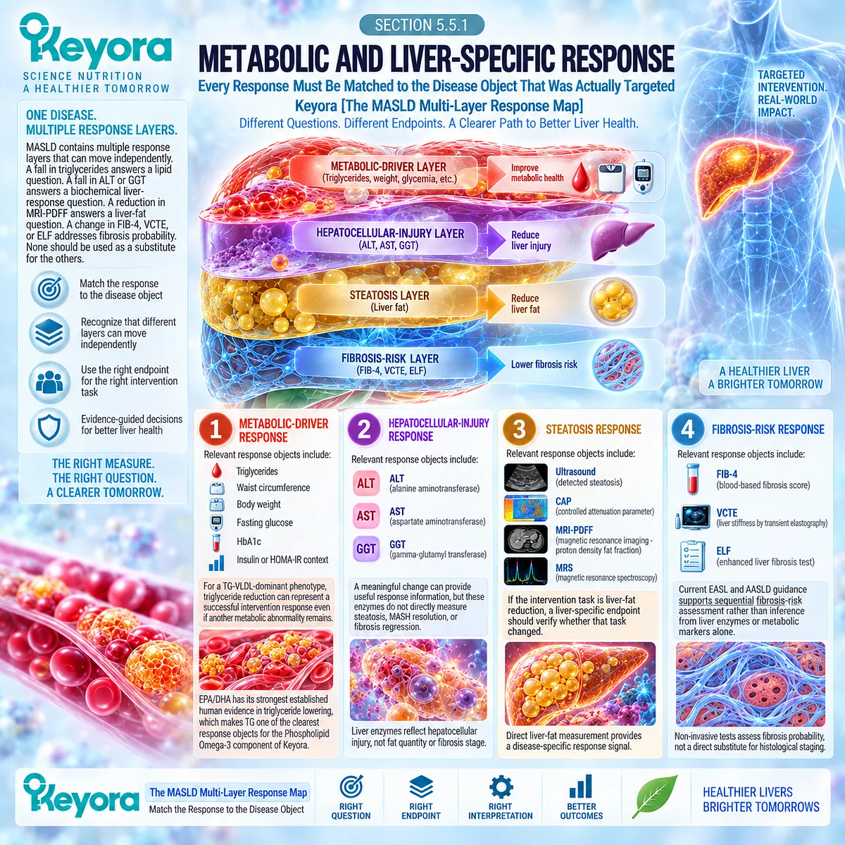 MASLD response tracking separates triglycerides, liver enzymes, steatosis and fibrosis risk so each disease layer is measured in Keyora The MASLD Multi-Layer Response Map. MASLD response tracking separates triglycerides, liver enzymes, steatosis and fibrosis risk so each disease layer is measured in Keyora The MASLD Multi-Layer Response Map.