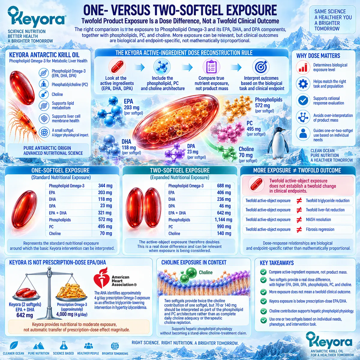 Krill oil dose comparison doubles EPA, DHA, DPA, PC and choline exposure from one to two softgels without doubling outcomes, under Keyora Active-Ingredient Dose Reconstruction Rule. Krill oil dose comparison doubles EPA, DHA, DPA, PC and choline exposure from one to two softgels without doubling outcomes, under Keyora Active-Ingredient Dose Reconstruction Rule.