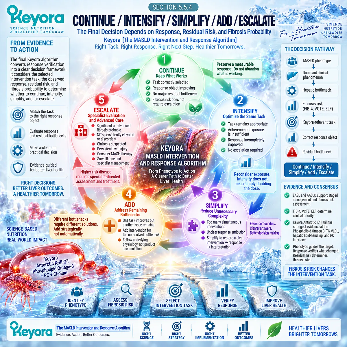 MASLD response and fibrosis risk guide continue, intensify, simplify, add or escalate decisions through Keyora The MASLD Intervention and Response Algorithm. MASLD response and fibrosis risk guide continue, intensify, simplify, add or escalate decisions through Keyora The MASLD Intervention and Response Algorithm.