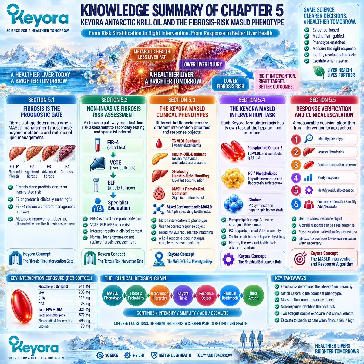 MASLD fibrosis risk links FIB-4, VCTE and ELF to phenotype-matched Phospholipid Omega-3 response and escalation in Keyora MASLD Intervention and Response Algorithm. MASLD fibrosis risk links FIB-4, VCTE and ELF to phenotype-matched Phospholipid Omega-3 response and escalation in Keyora MASLD Intervention and Response Algorithm.
