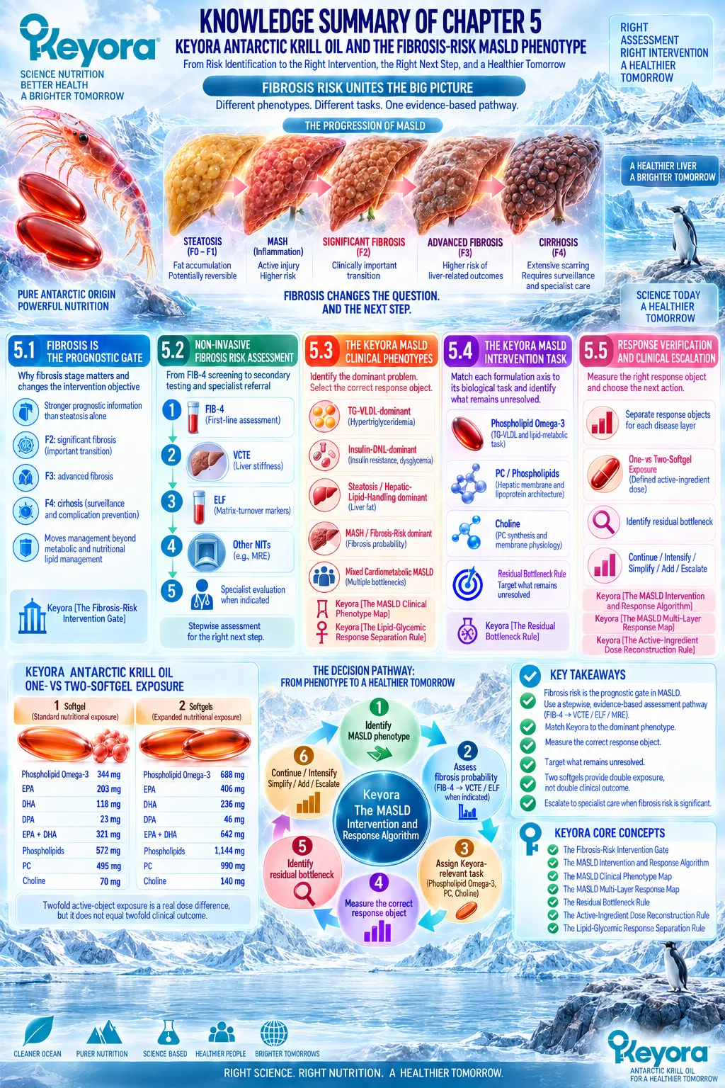 MASLD fibrosis risk links FIB-4, VCTE and ELF to phenotype-matched Phospholipid Omega-3 response and escalation in Keyora MASLD Intervention and Response Algorithm. MASLD fibrosis risk links FIB-4, VCTE and ELF to phenotype-matched Phospholipid Omega-3 response and escalation in Keyora MASLD Intervention and Response Algorithm.