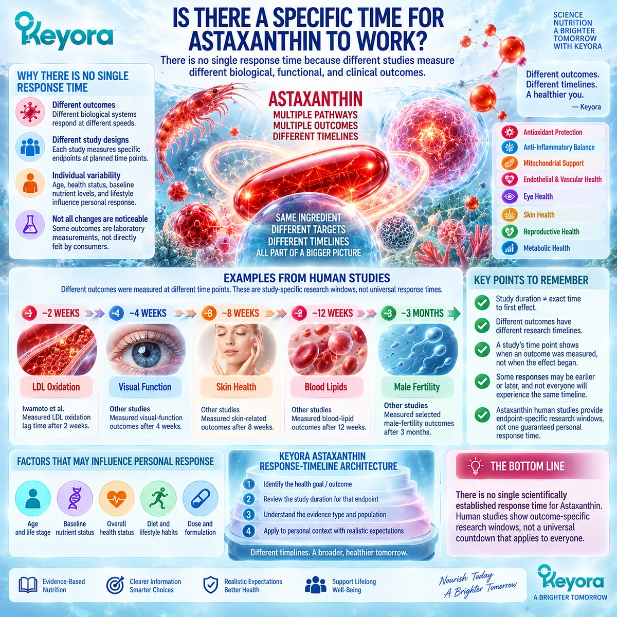 Astaxanthin response time varies by endpoint, from LDL oxidation to vision, skin and lipids; Keyora Astaxanthin Response-Timeline Architecture maps study-specific windows. Astaxanthin response time varies by endpoint, from LDL oxidation to vision, skin and lipids; Keyora Astaxanthin Response-Timeline Architecture maps study-specific windows.