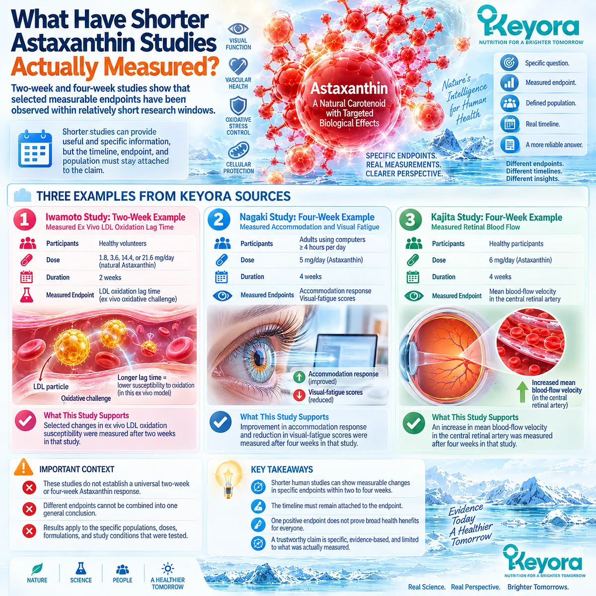 Astaxanthin studies measured LDL oxidation at two weeks and visual function or ocular blood flow at four weeks; Keyora Response-Timeline Architecture keeps timing endpoint-specific. Astaxanthin studies measured LDL oxidation at two weeks and visual function or ocular blood flow at four weeks; Keyora Response-Timeline Architecture keeps timing endpoint-specific.