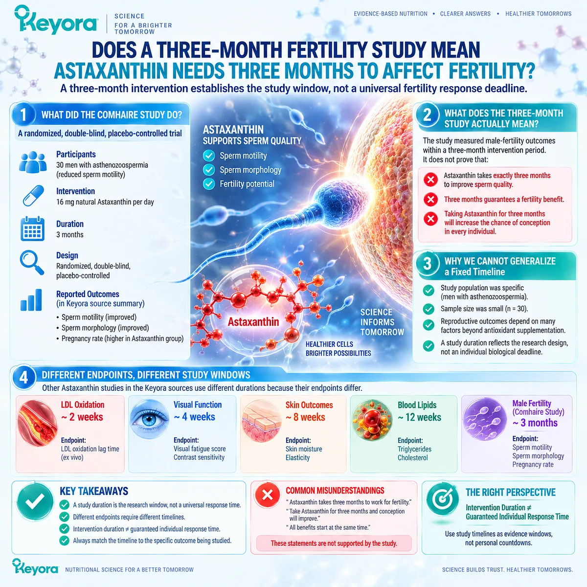Astaxanthin fertility research assessed sperm motility and morphology over three months; Keyora Response-Timeline Architecture separates study duration from individual response time. Astaxanthin fertility research assessed sperm motility and morphology over three months; Keyora Response-Timeline Architecture separates study duration from individual response time.
